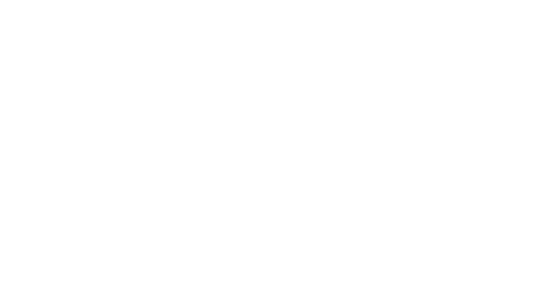 Executive Institute Logo